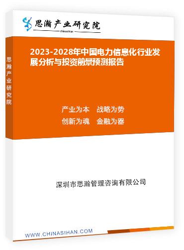 2023-2028年中国电力信息化行业发展分析与投资前景预测报告